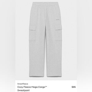 TNA mega cargo sweat pants